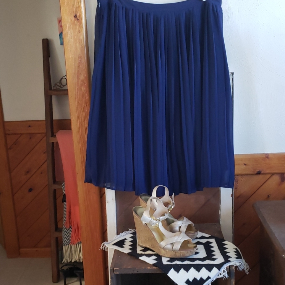 NWOT Accordion Pleat Skirt